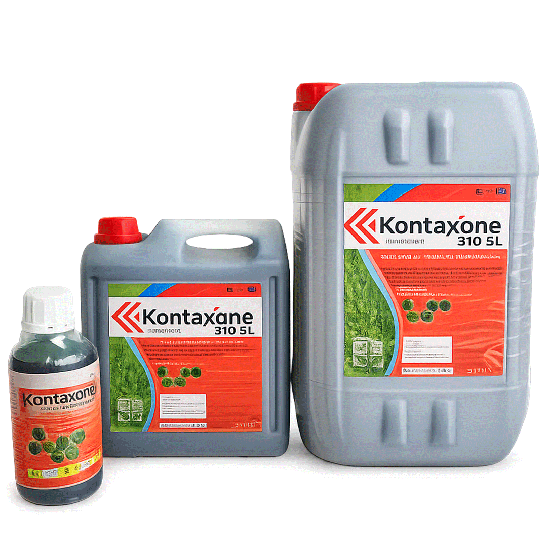 KONTAXONE