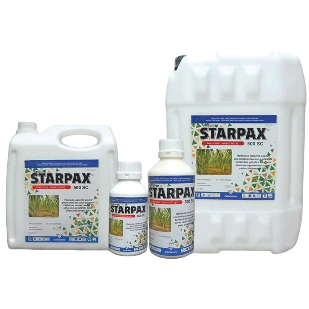 STARPAX