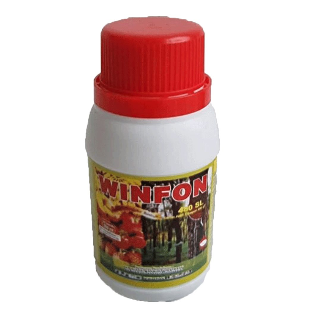 WINFON