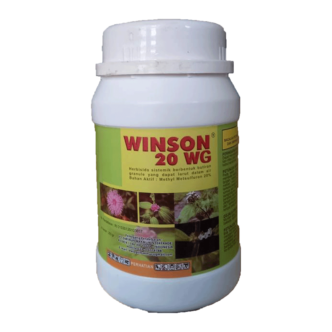 WINSON